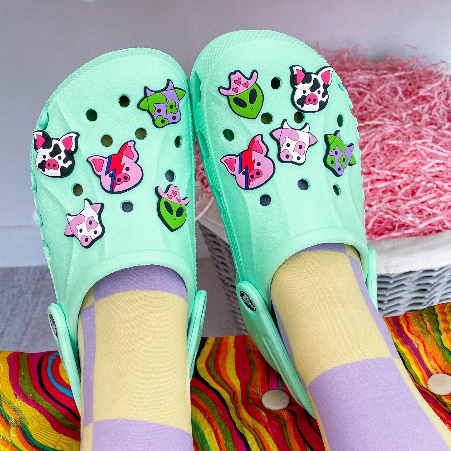 Individual Shoe Charms