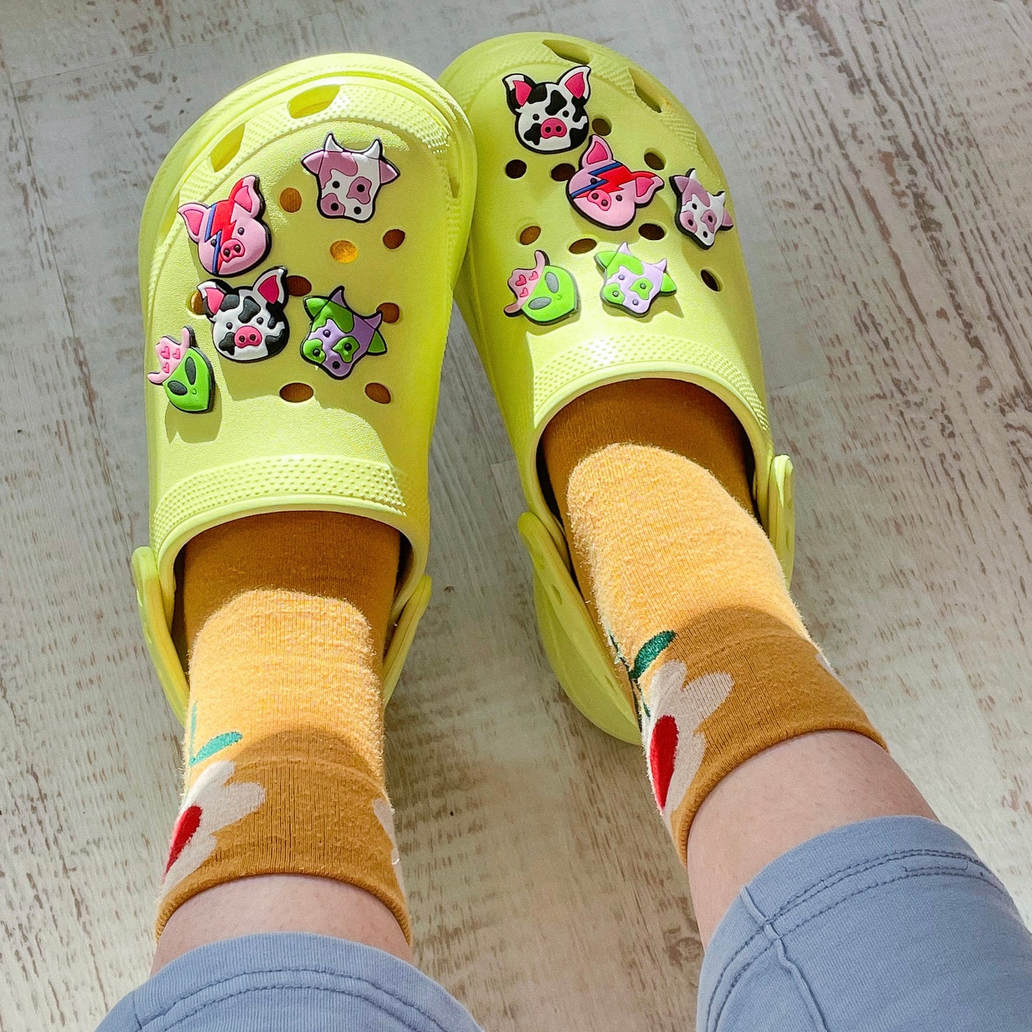 Shoe Charms: Pack of 5