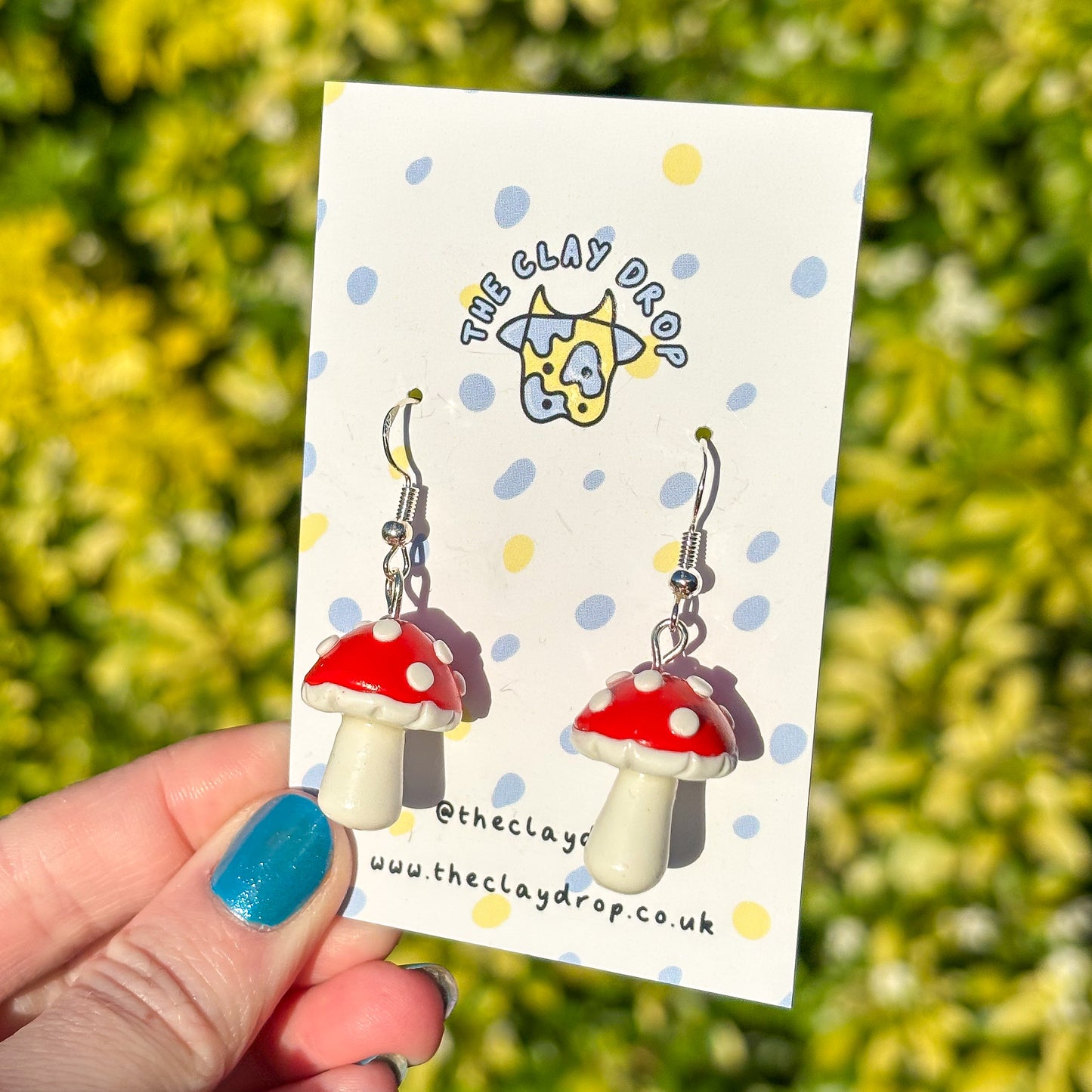 Mushrooms - Red & White