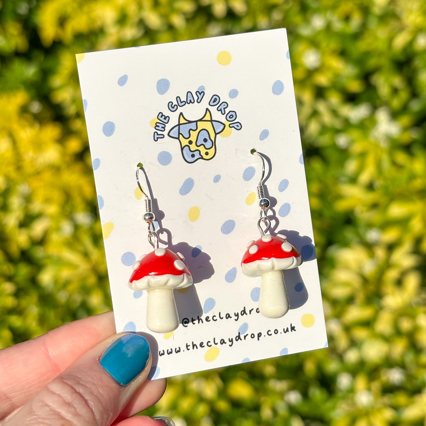 Mushrooms - Red & White